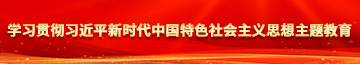 插我BB学习贯彻习近平新时代中国特色社会主义思想主题教育